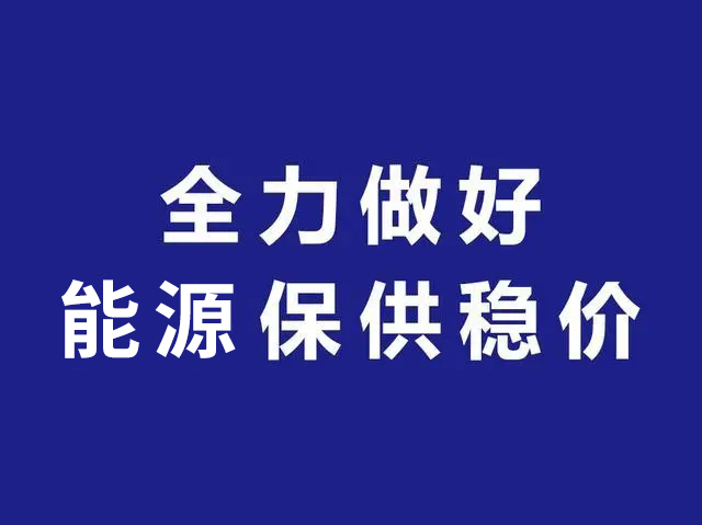 持續釋放煤炭先進產能 進一步做好能源保供穩價工作